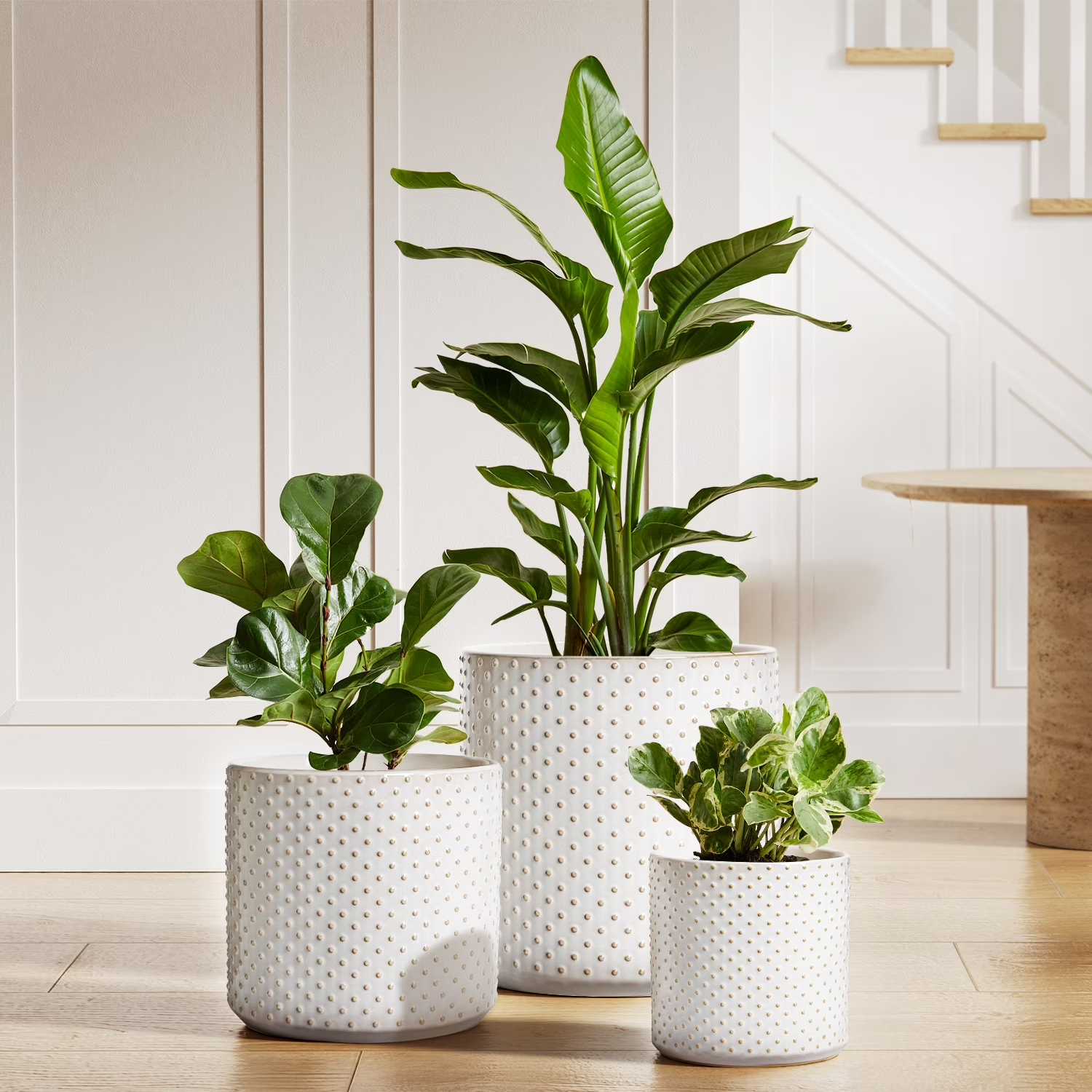 White Indoor Plant Pots - Image 12