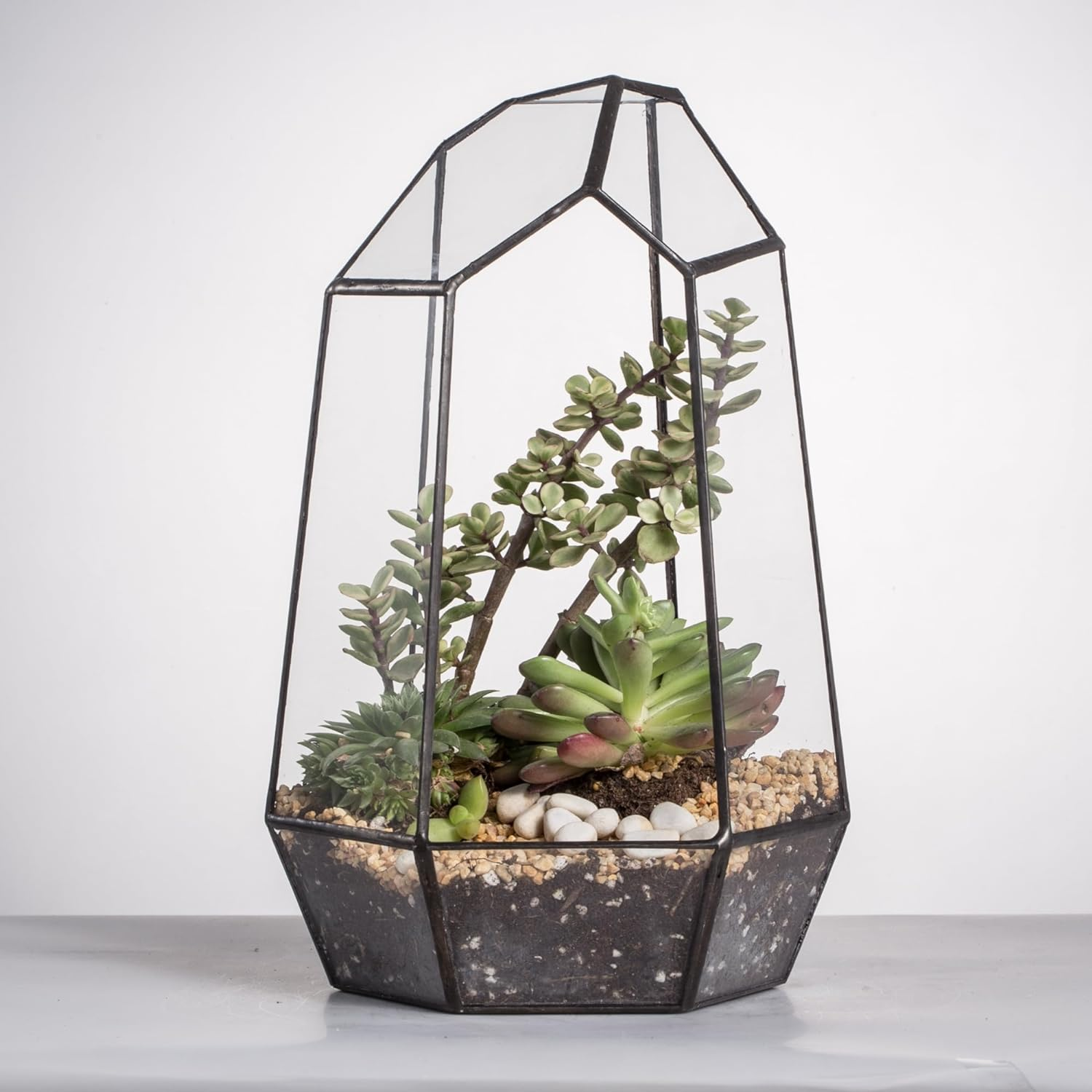 Black Glass Terrarium Pot - Image 9