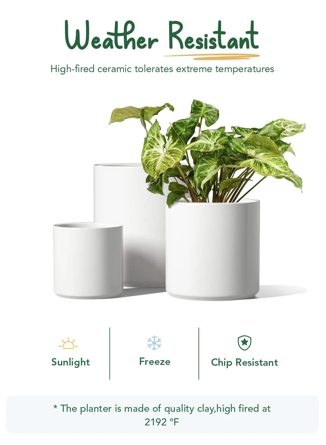 White Indoor Plant Pots - Image 6
