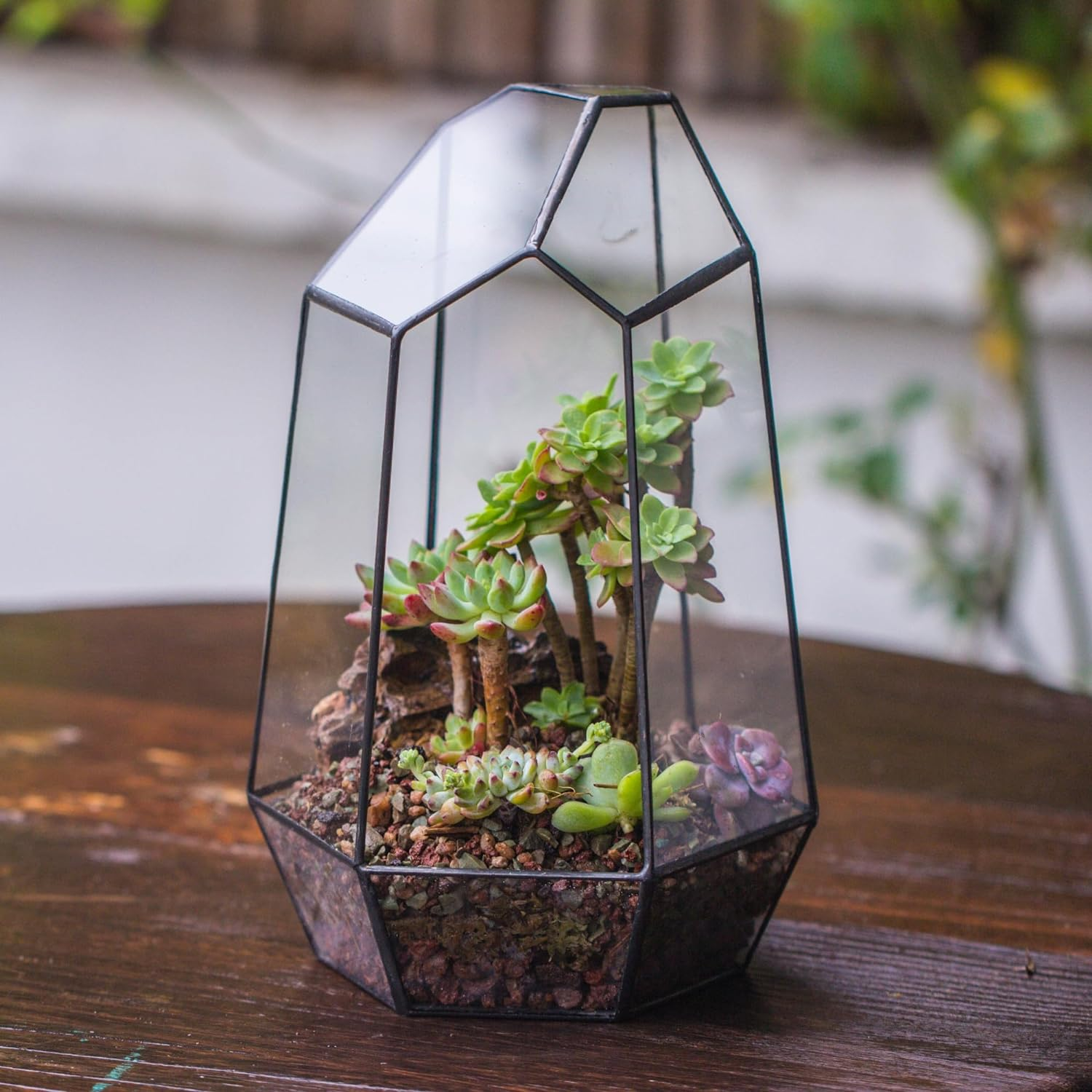 Black Glass Terrarium Pot - Image 4