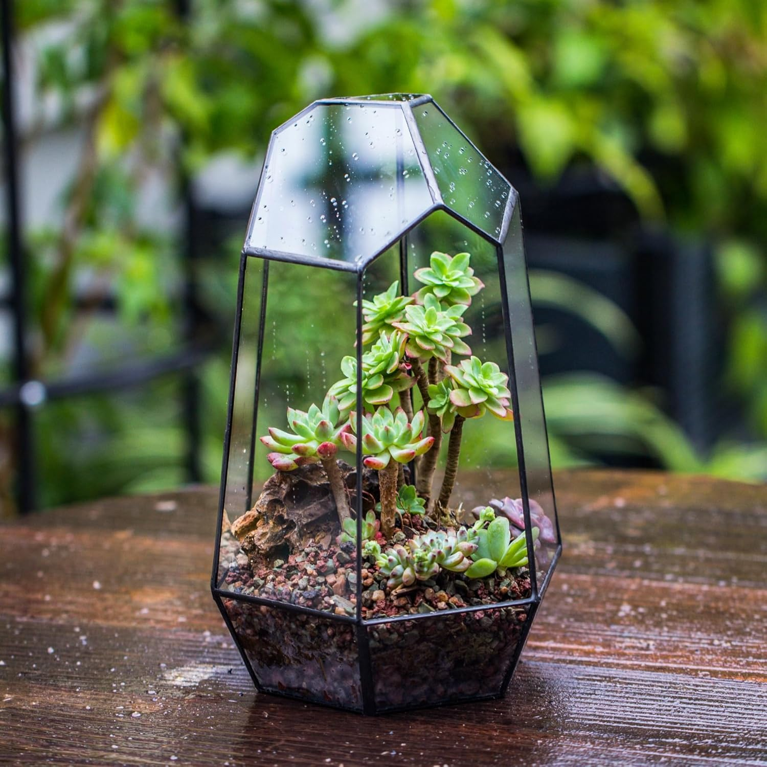 Black Glass Terrarium Pot - Image 3
