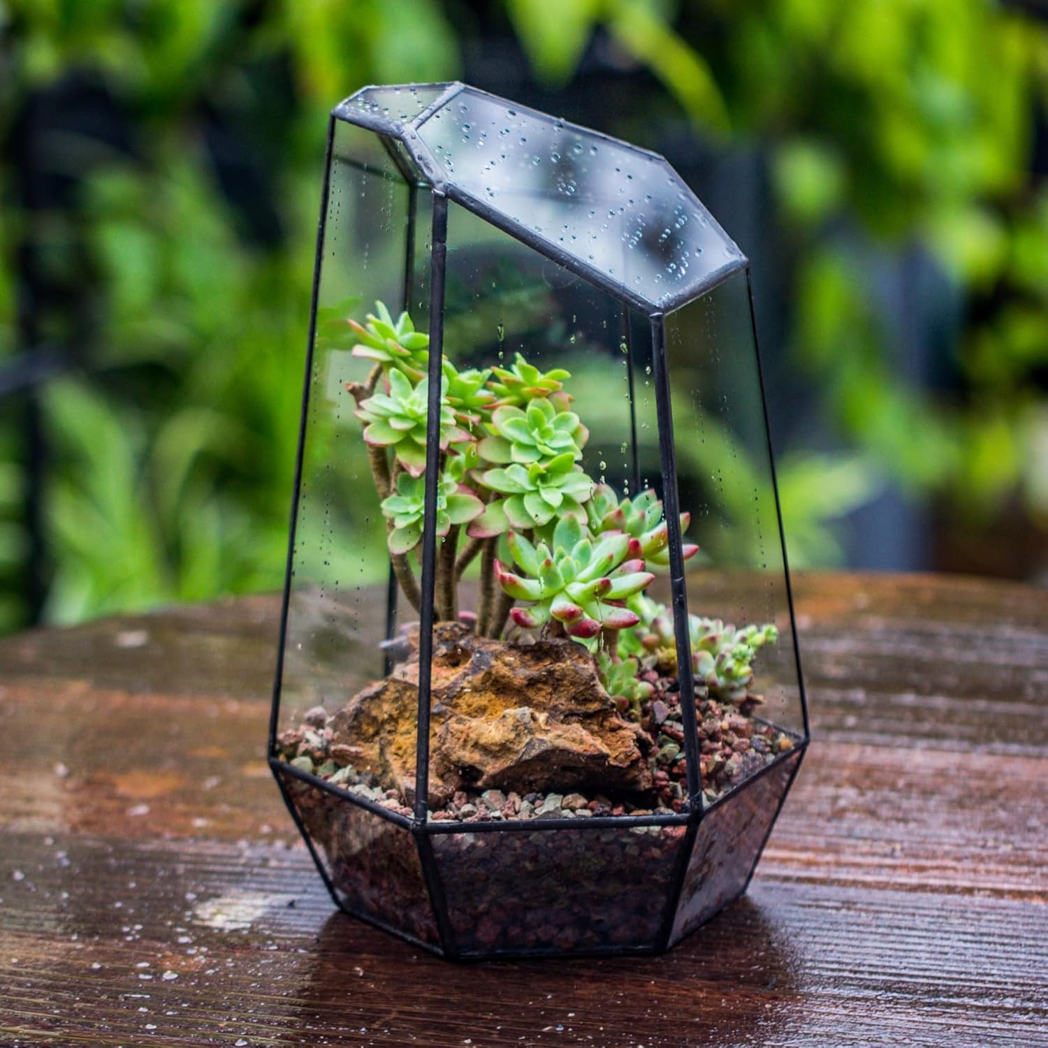 Black Glass Terrarium Pot - Image 2