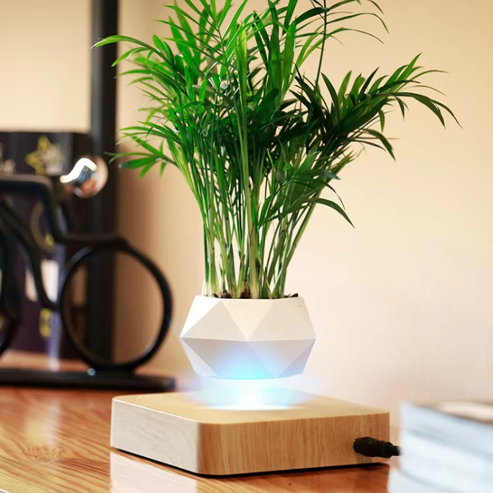 Levitating Air Plant Pot - Image 2