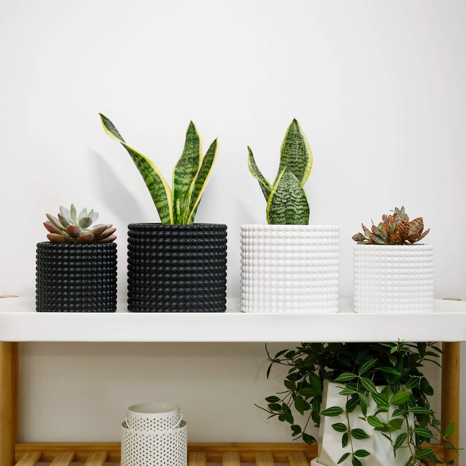 Ceramic Hobnail Succulent Planters - Image 9