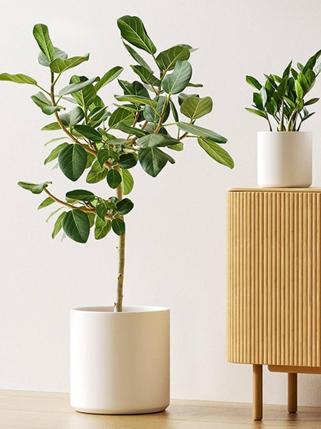 White Indoor Plant Pots - Image 8